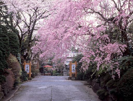 Hotel Gyokutei Hakone Exteriér fotografie